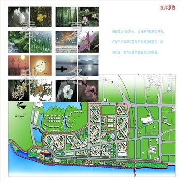 肇庆西江北岸江滨西堤公园与三旧改造城市设计