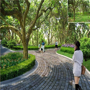 美丽幸福村居建设行动计划
