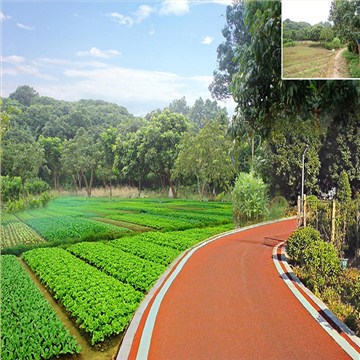 美丽幸福村居建设行动计划